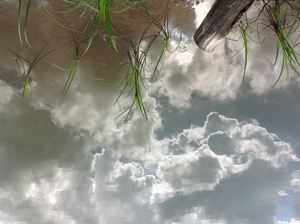 Photo2. 水に映る雲.JPG